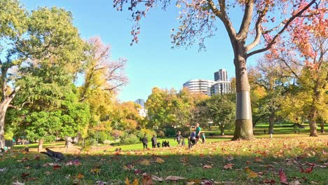 people enjoying a sunny day in park