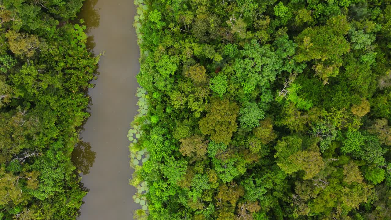 tiro en movimiento a vista de pájaro, vista panorámica de las aguas marrones del río amazonas en medio de la selva amazónica en colombia