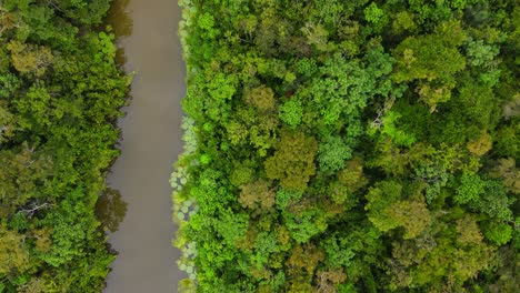 Tiro-En-Movimiento-A-Vista-De-Pájaro,-Vista-Panorámica-De-Las-Aguas-Marrones-Del-Río-Amazonas-En-Medio-De-La-Selva-Amazónica-En-Colombia