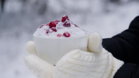 cranberries in snow