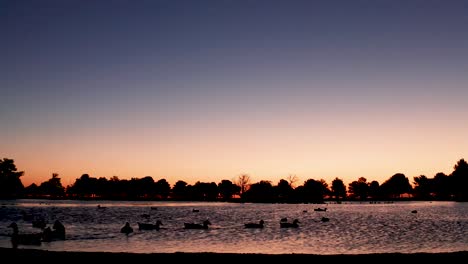 Calm-Lake-at-Sunset