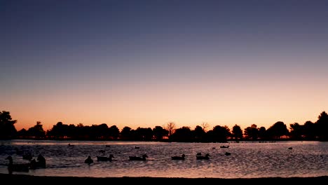 calm lake at sunset