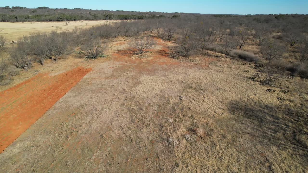 나무 사이를 달리는 여러 칠면조의 공중 비디오 긴 접근