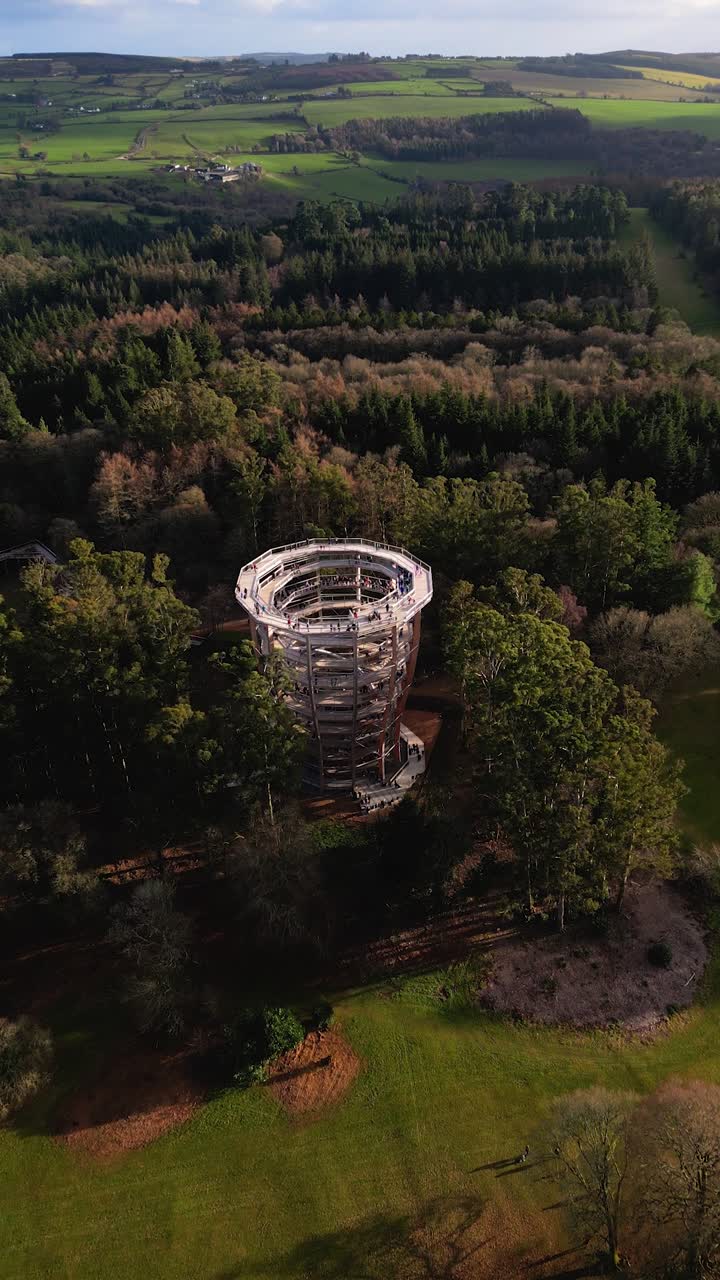 Beyond the Trees Avondale Co.Wicklow - Ireland - 4K Vertical Cinematic Drone Footage - 03