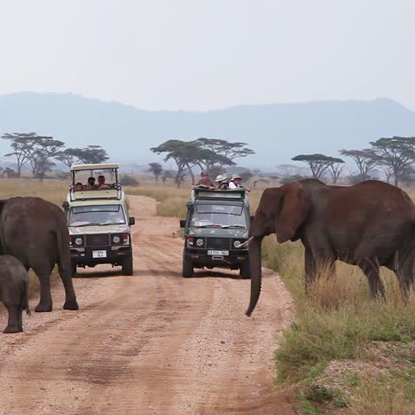 Elefanten-Wandern-über-Die-Ebenen-Der-Serengeti-Tansania-Afrika-Mit-Safarifahrzeugen-Im-Vordergrund