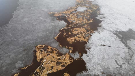 Aerial-over-driftwood-stuck-surrounded-ice-frozen-lake-water-day