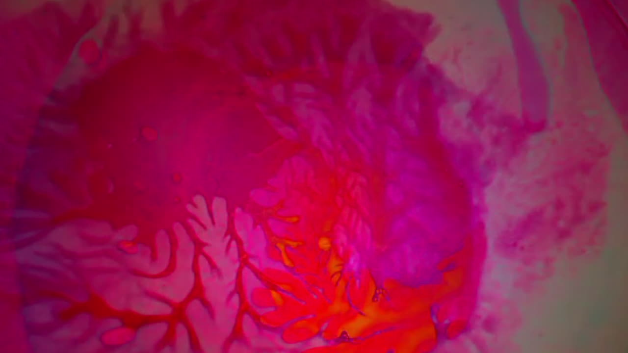 efecto de luz líquida con patrones dendríticos en rosa caliente y naranja