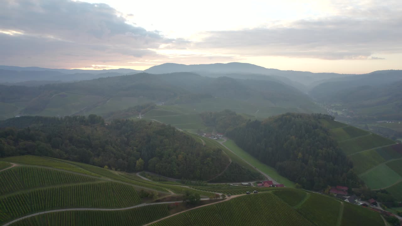 vista aérea de grandes viñedos con montañas de la selva negra en el fondo