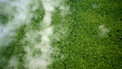 ethereal drone capture of mist-covered great smoky ridges