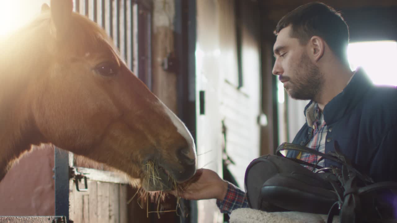 el hombre está alimentando a un caballo con heno en el establo mientras sostiene una silla de montar.