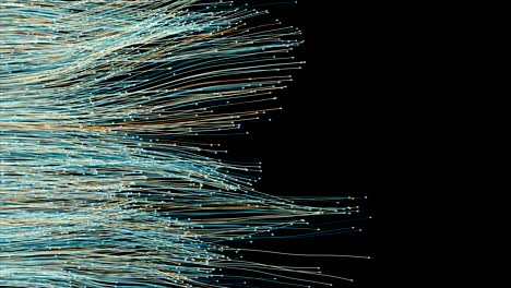 fiber optic cables spread out across the frame.