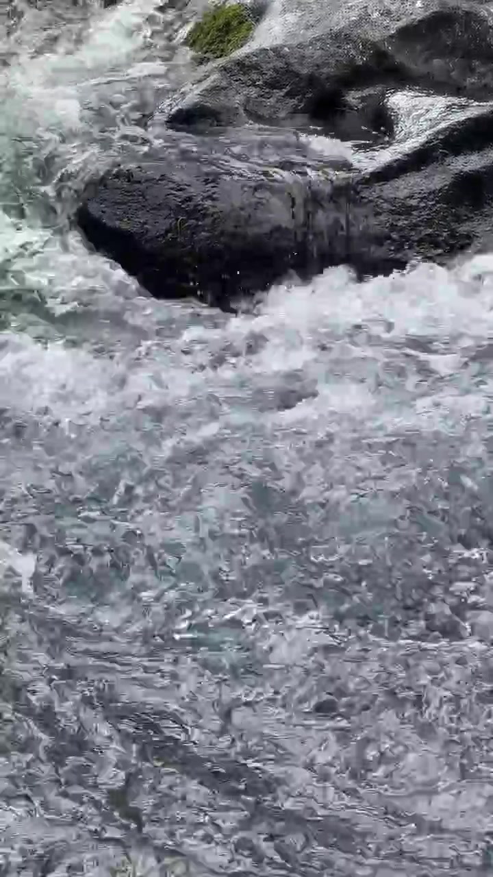 Acqua limpida che scorre su rocce scure in un ruscello di montagna