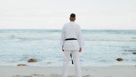 karate, fitness y hombre en una playa para entrenar