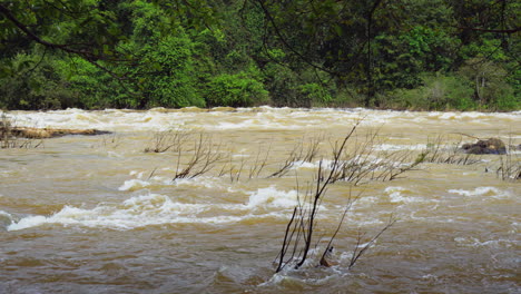 witness the awe-inspiring spectacle of a powerful river, its roar echoing through a lush green valley teeming with vibrant life