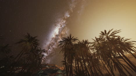 milky way over desert palm trees