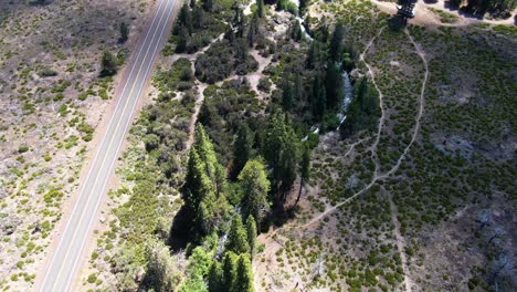 Draufsicht-Auf-Einen-Malerischen-Kiefernwald,-Der-Von-Einer-Straße-Und-Einem-Kleinen-Fluss-Im-Lassen-National-Forest-Durchzogen-Wird