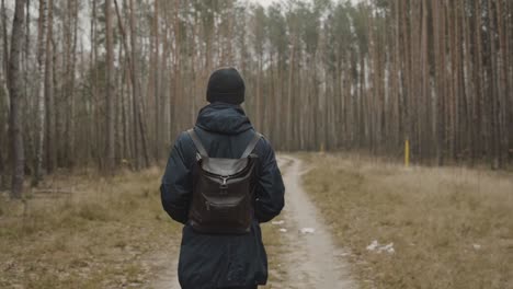 slow motion follow shot of a young and fashionable man walking in the forrest between tall trees