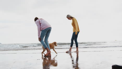 mother and daughter playing with pet dog in waves on beach vacation