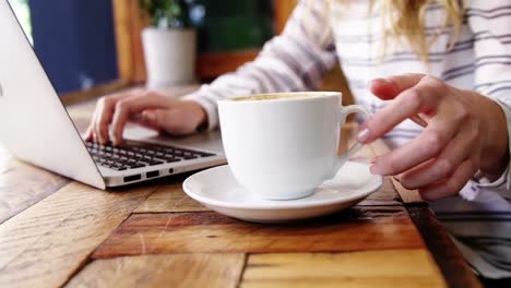 cliente femenina usando una computadora portátil en una cafetería