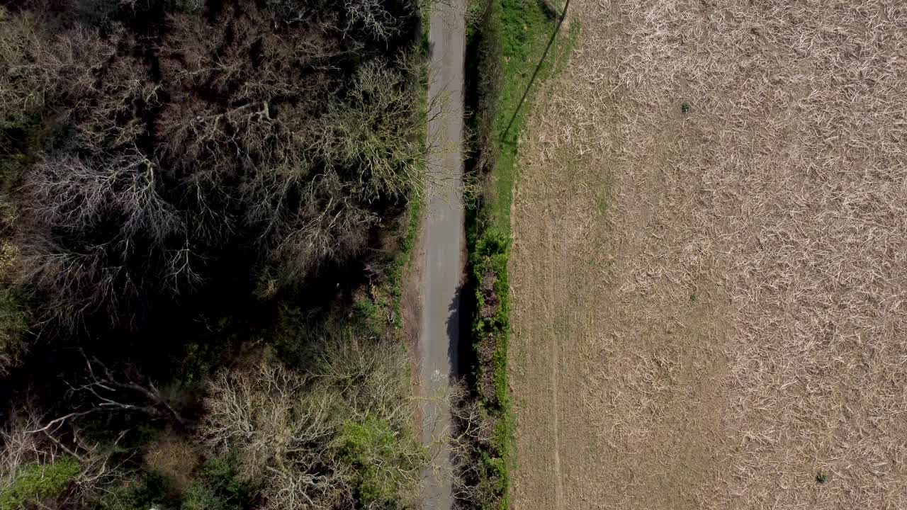 vista lenta de pájaro desde un dron que muestra una carretera rural con campo y árboles
