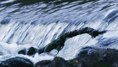 Wasser-Fließt-In-Stromschnellen,-Zweig-Ragt-Heraus,-Nahaufnahme