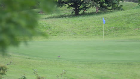 Campo-De-Golf-En-Colombia-1