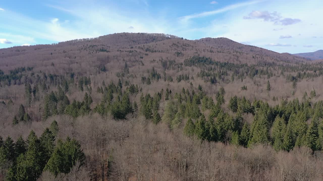 Aerial view of a mountain covered with pines in Slovenia.