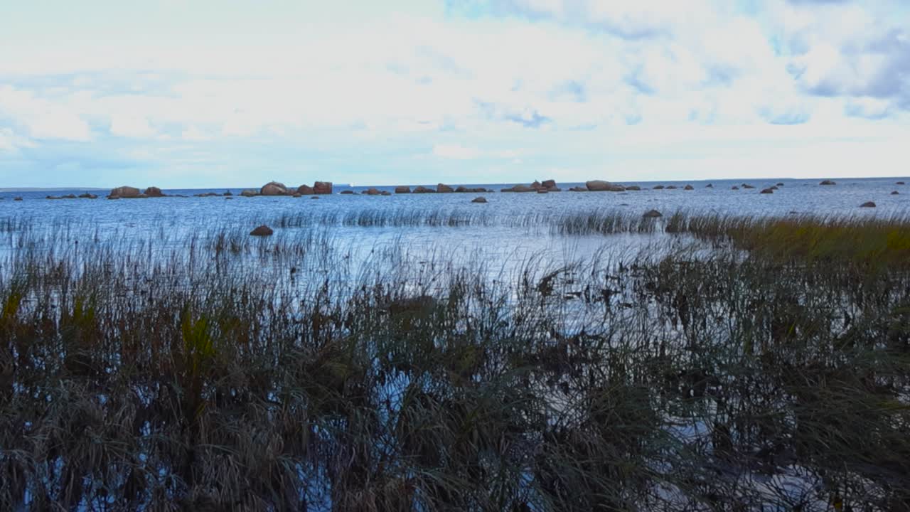 Stemningsfull kystlinje med siv og gjørmete sand, rolig grunt hav og spredte steiner under en skyet vårhimmel, bred panorering