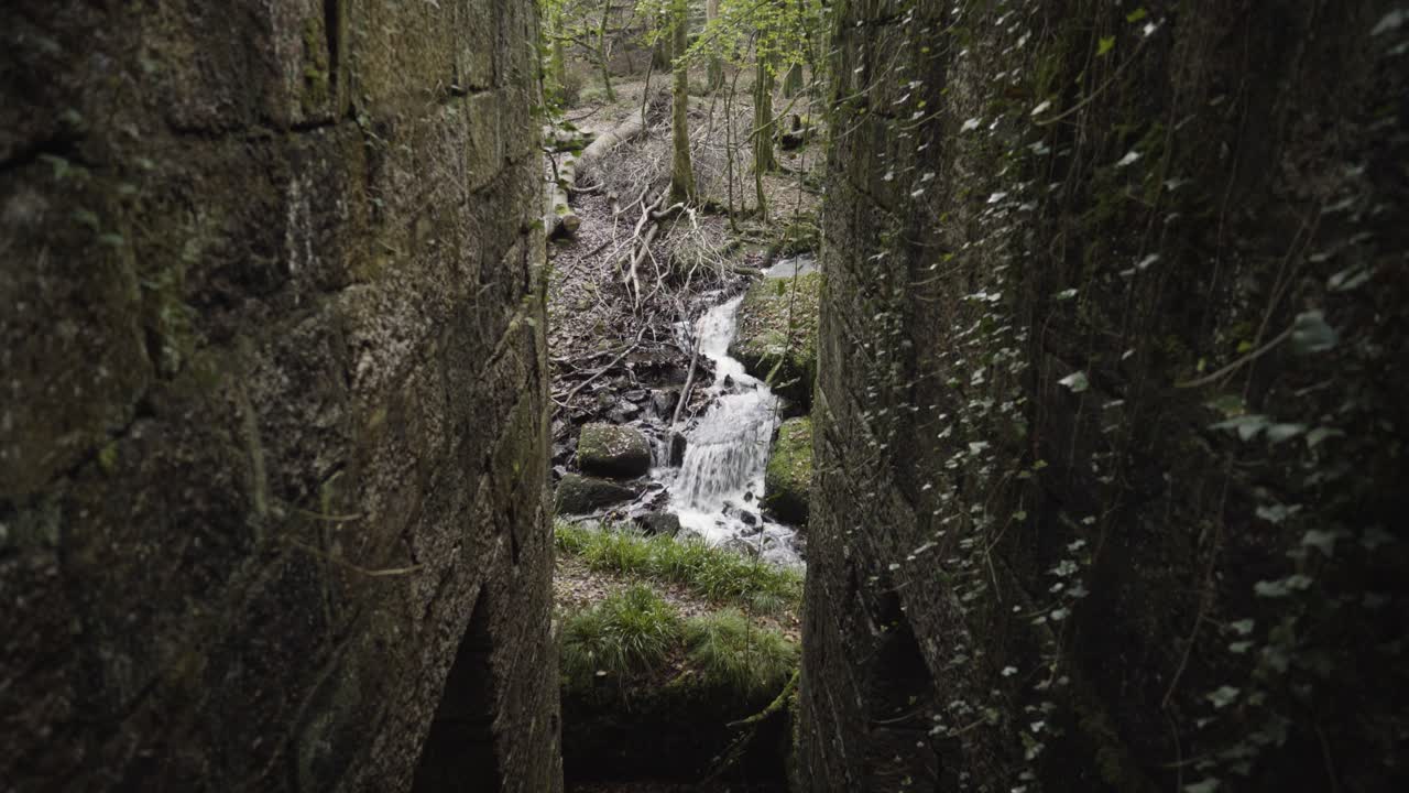 paredes rocosas cubiertas de musgo en trabajos de pólvora abandonados con un río que fluye en la reserva natural de kennall vale, ponsanooth, inglaterra