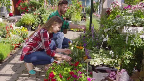 dos botánicos trabajando con plantas