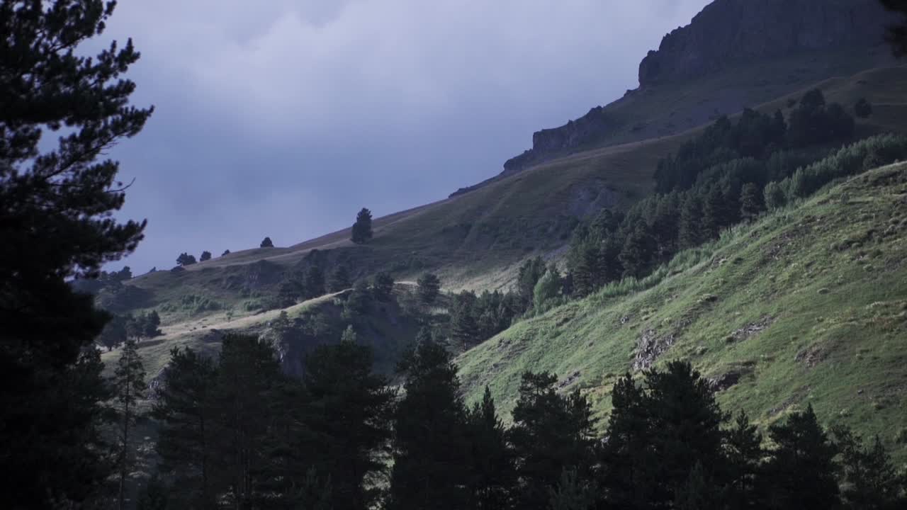 paisaje montañoso con nubes y bosque