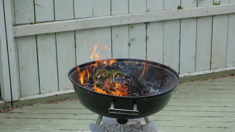 close-up-burning-dry-leaves-in-the-backyard