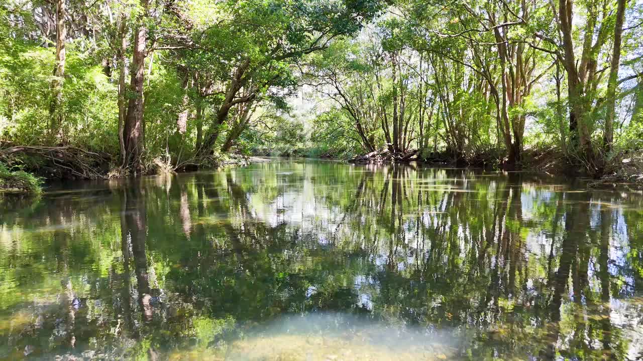 A serene river flows through a dense, sunlit forest in Bellingen, NSW, captured with gentle camera movement