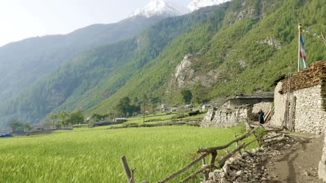 nepalese village prok. manaslu circuit trek.