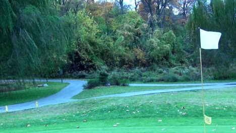 public golf course white flag on green