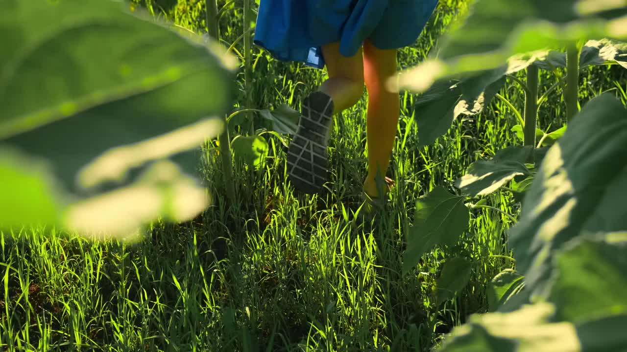 Girl walking through a sunflower field