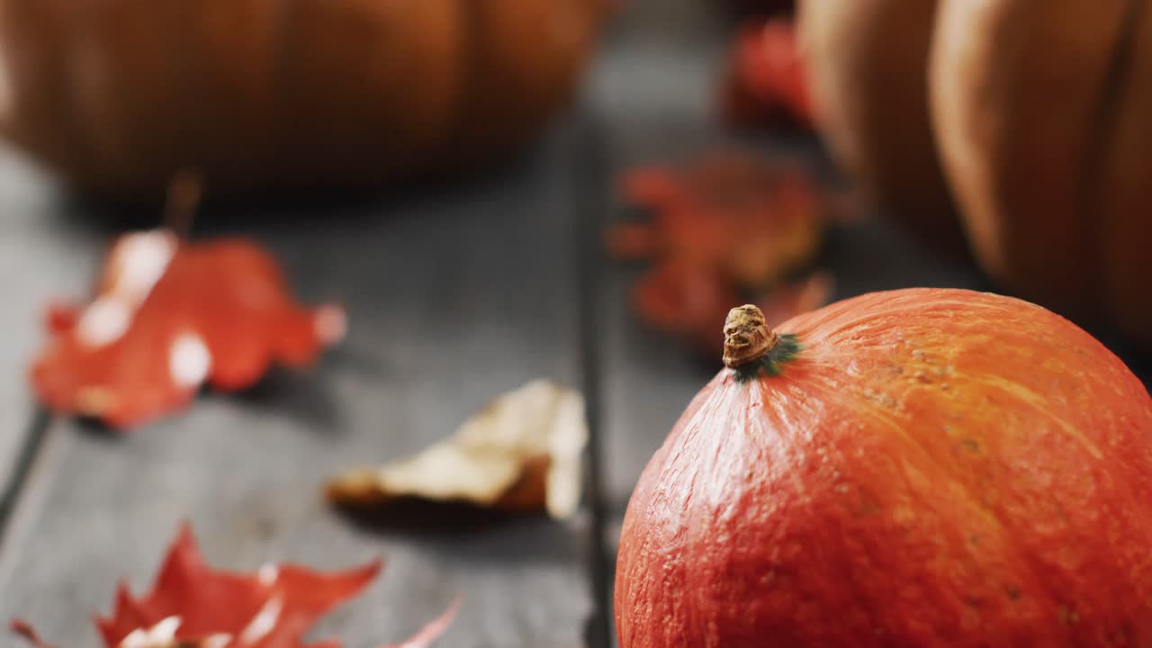 나무 배경에 호박과 가을 잎의 비디오