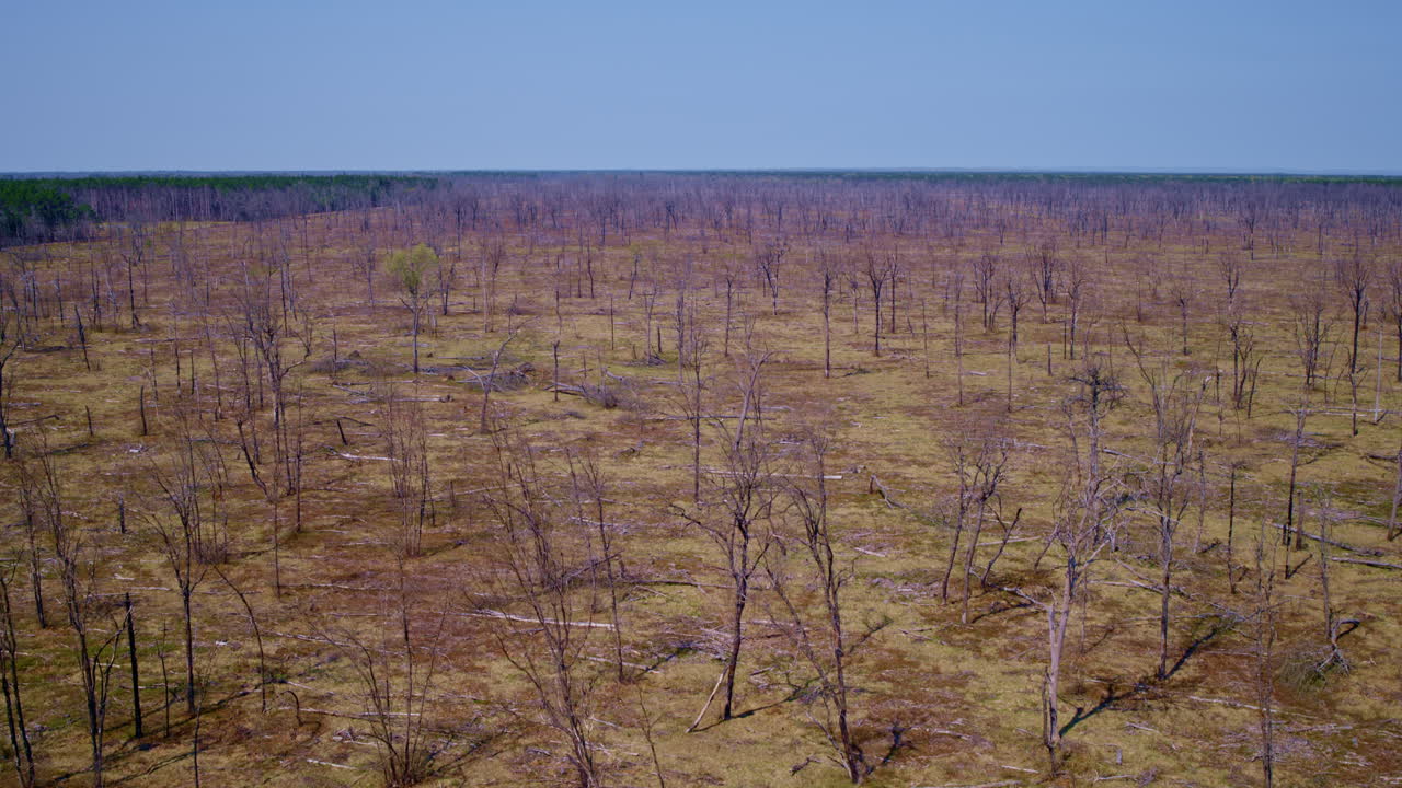 imágenes de drones que revelan un área quemada después de un incendio.