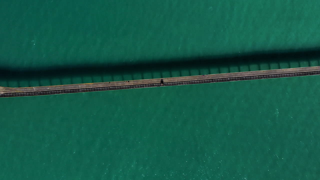 뉴질랜드 톨라가 만 의 긴 항구 에서  ⁇ 고 있는 사람 들