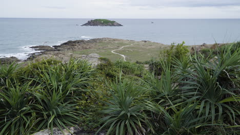 light waves hit the shore while the smooth wind is tipping leaves of low bushes