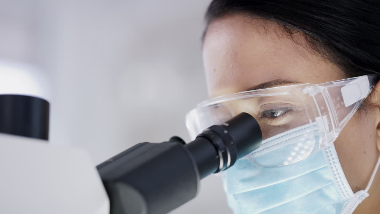 Microscope, bacteria and medical science doctor