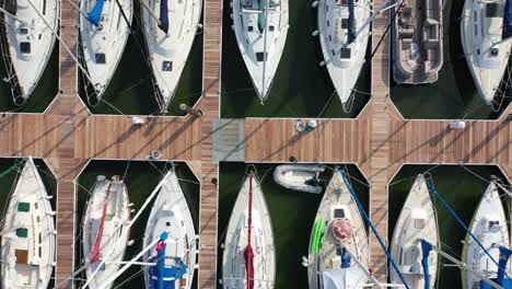 aerial view of marina with many sailboats