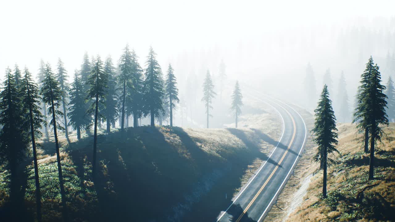 러시아 타이가 숲 을 가로지르는 도로