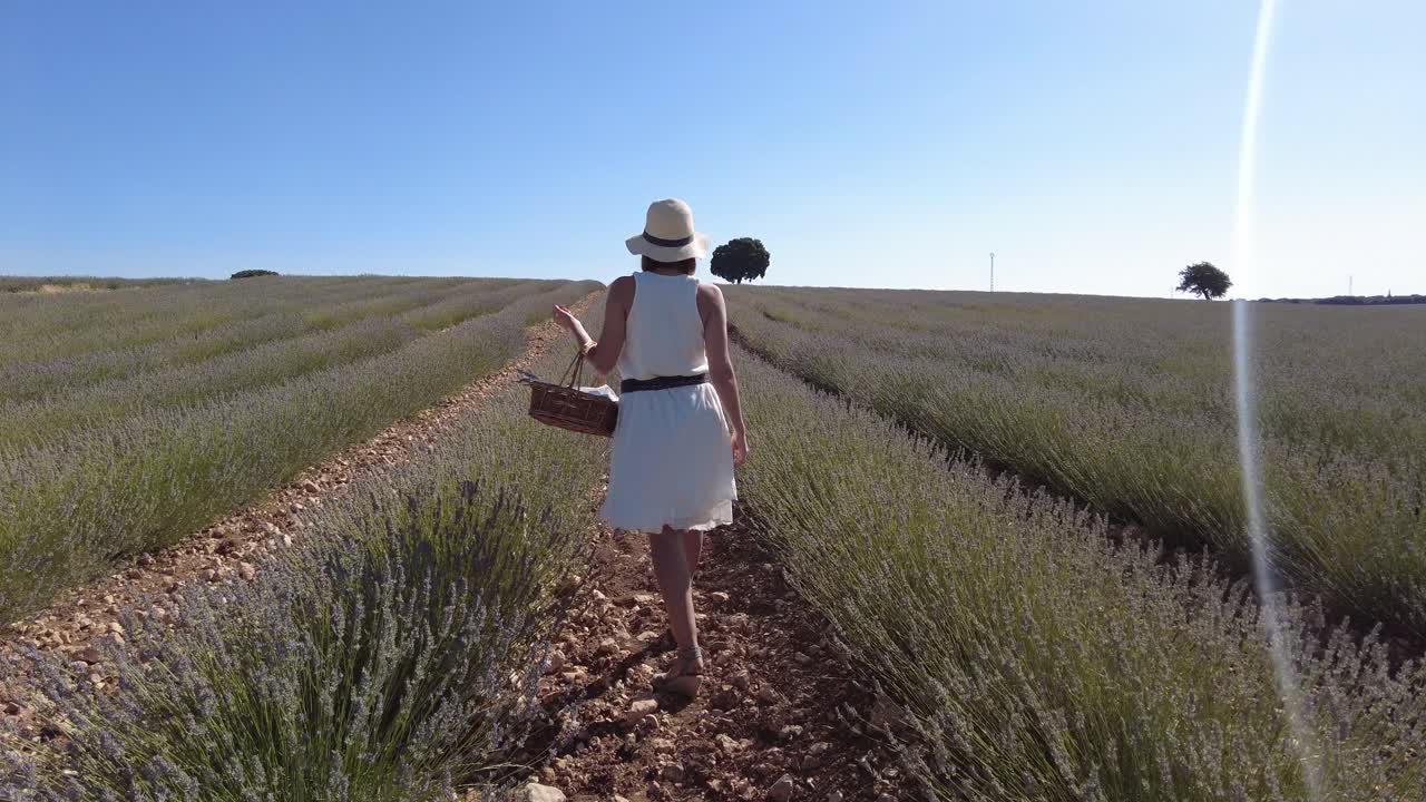 mujer en un campo de lavanda