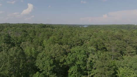 Aerial-footage-flying-over-green-trees-with-a-hazy-afternoon-sky