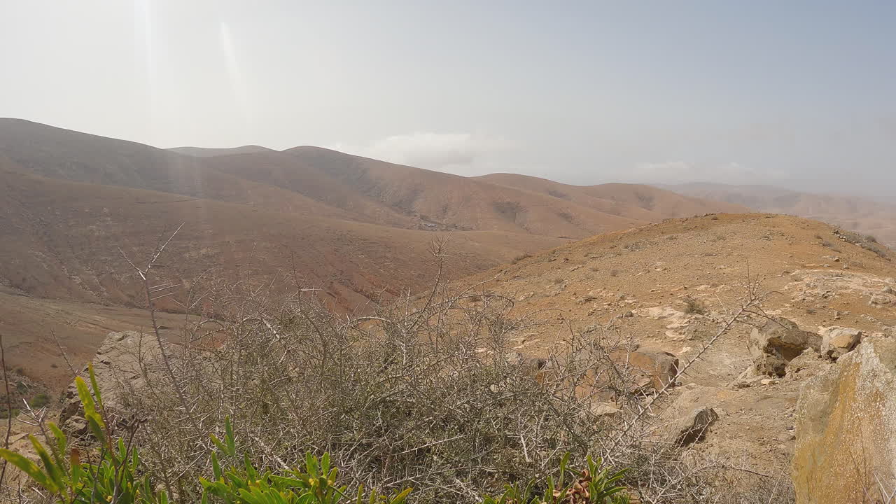 vista del paisaje del desierto de montaña desde la ladera de la ladera con pocas plantas en crecimiento en fuerteventura, islas canarias, españa