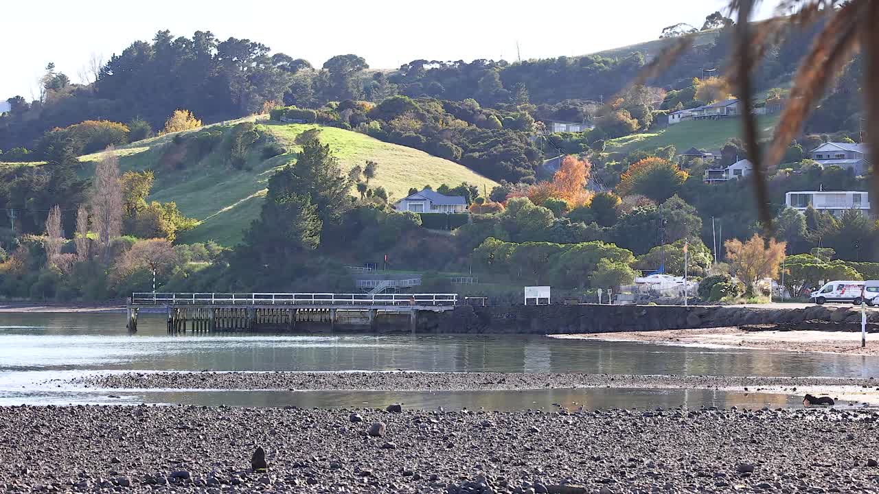 Lush hills and serene water in Akaroa