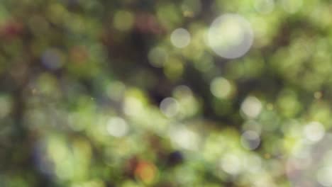 Abstract spring background with bokeh