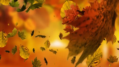 Animation-of-leaves-icons-over-blurred-background