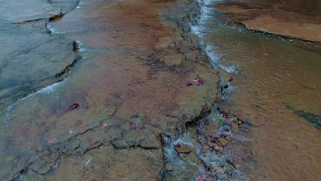 toma panorámica de cedar creek en monterey hermoso paisaje agua que fluye sobre la caída de agua